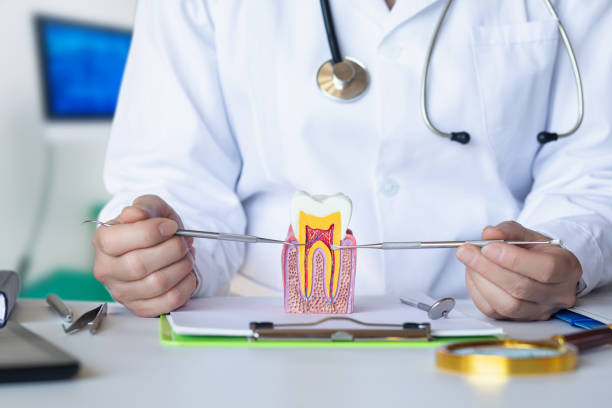 Best Urgent Dental Care for Toothache in Anderson Island, WA